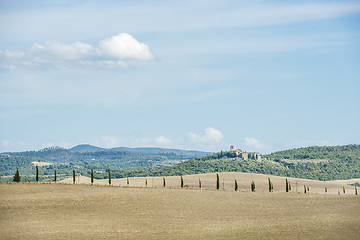 Image showing Beautiful landscape Tuscany