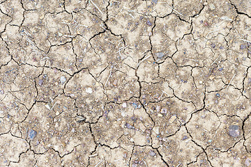 Image showing Parched ground