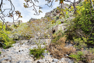 Image showing Riverbed Wadi Bani Habib