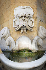 Image showing Fountain of Buontalenti