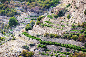 Image showing Oman Saiq Plateau