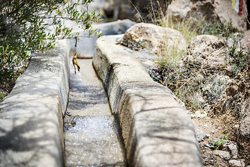 Image showing Oman Saiq Plateau water delivery