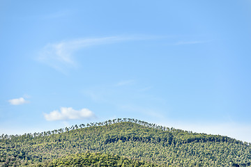 Image showing Landscape near Montemassi