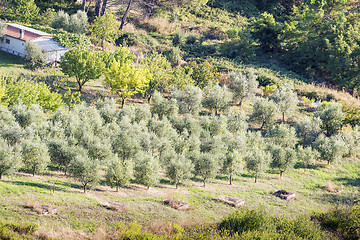 Image showing Sunset landscape Tuscany