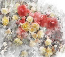 Image showing Watercolor Image Of Begonia Flowers