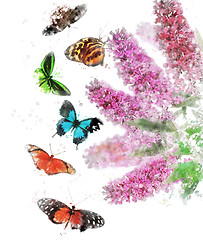 Image showing Watercolor Image Of Butterfly Bush