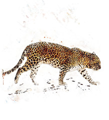 Image showing Watercolor Image Of Leopard