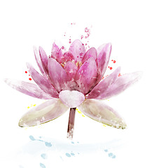 Image showing Watercolor Image Of Pink Waterlily Flower