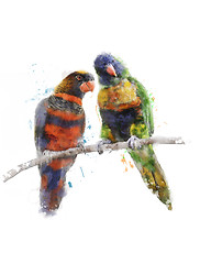 Image showing Watercolor Image Of Colorful Parrots