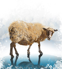 Image showing Watercolor Image Of Sheep