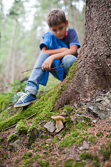 Image showing Mushroom picking