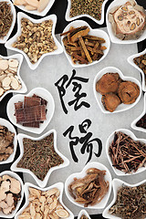 Image showing Yin and Yang Herbs