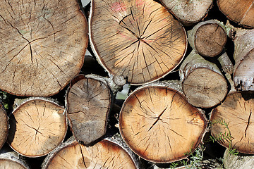 Image showing Firewood Stack