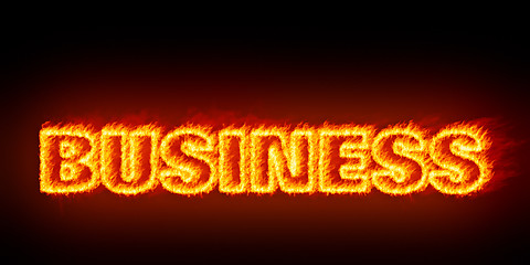 Image showing business burning