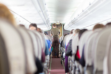 Image showing Steward on the airplane.