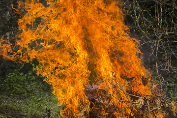 Image showing Burning fire flame 