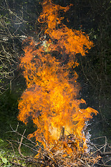 Image showing Burning fire flame 