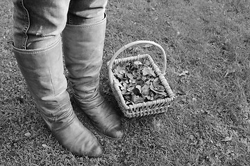 Image showing Woman wearing boots standing with a basket of fall leaves