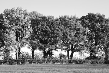 Image showing Trees turning to fall colors in the countryside