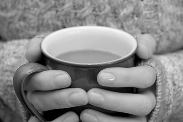 Image showing Two hands keeping warm, holding a hot cup of tea or coffee