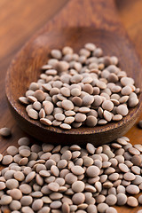 Image showing Dry Organic Brown Lentils