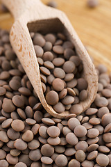 Image showing Dry Organic Brown Lentils