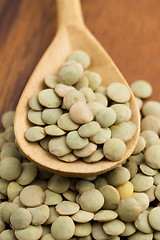 Image showing Dry Organic Green Lentils