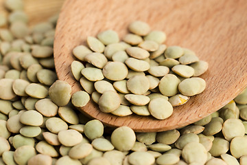 Image showing Dry Organic Green Lentils