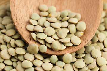 Image showing Dry Organic Green Lentils