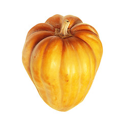 Image showing Fresh orange pumpkin