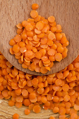 Image showing Dry Organic Red Lentils