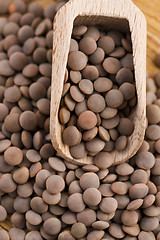 Image showing Dry Organic Brown Lentils