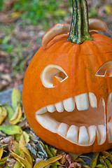 Image showing Halloween pumpkin