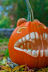 Image showing Halloween pumpkin