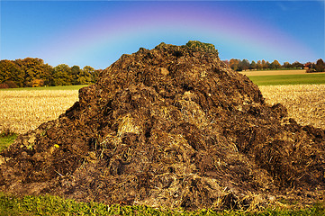 Image showing dung hill with rainbow