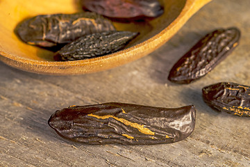 Image showing  tonka beans