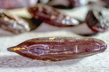 Image showing  tonka beans