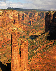 Image showing Spider Rock