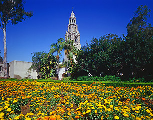 Image showing Balboa Park,San Diego