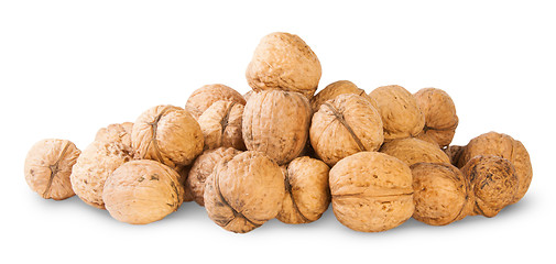 Image showing Many Walnut Piled Up