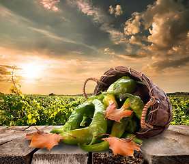 Image showing Pepper on table