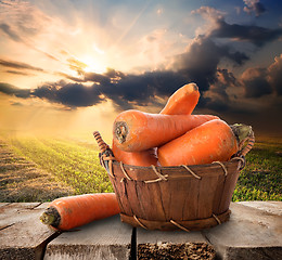 Image showing Carrot and landscape