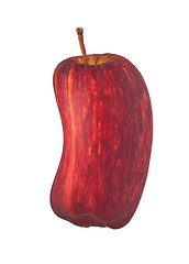 Image showing Bend apple