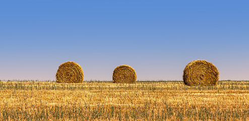 Image showing Hay Bales