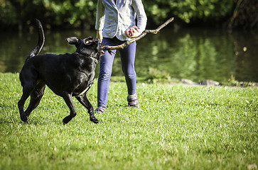 Image showing young girl and dog on the grass