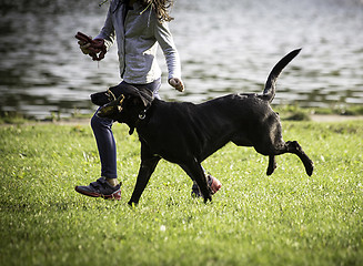 Image showing  young girl and dog on the grass