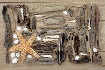 Image showing Shell and Driftwood Collage