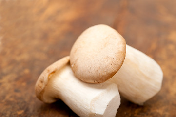 Image showing fresh wild mushrooms