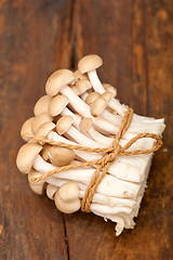 Image showing fresh wild mushrooms