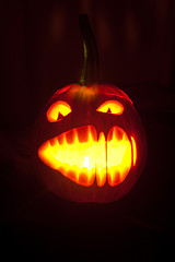 Image showing Halloween pumpkin